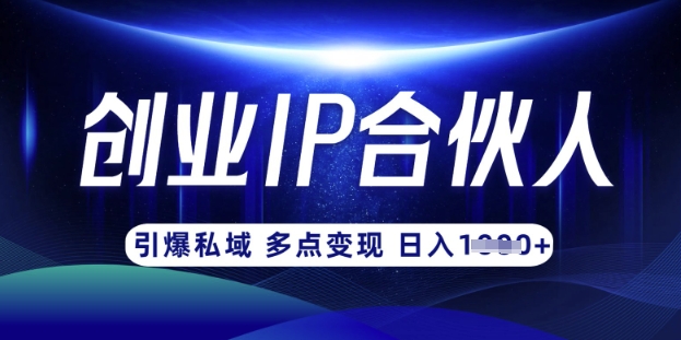 云帆·创业ip合伙人打造3.0，从0到1教你做网创，实现月入过W-800资源网
