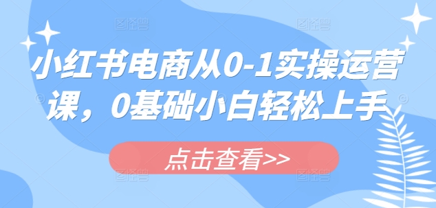 小红书电商从0-1实操运营课，0基础小白轻松上手-800资源网