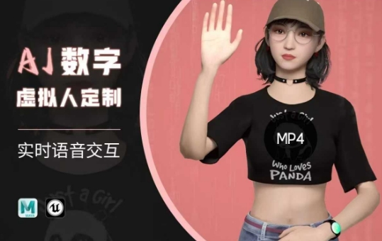 Ai数字人虚拟(智能体)实时语音交互特训营，​自行定制超写实角色AI数字人交互技术-800资源网