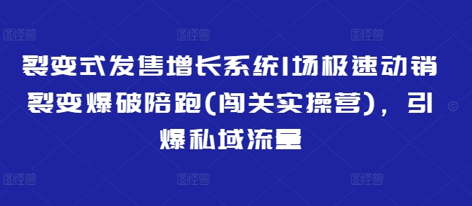 裂变式发售增长系统1场极速动销裂变爆破陪跑(闯关实操营)，引爆私域流量-800资源网