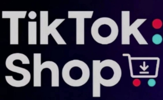 TikTokShop跨境电商0-1实战，手把手教你低成本启动海外市场-800资源网