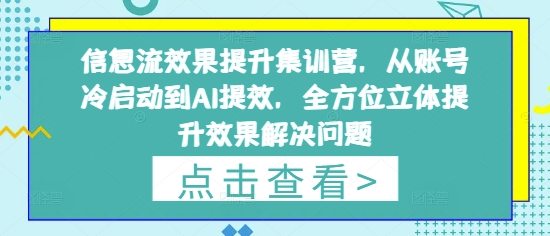 信息流效果提升集训营，从账号冷启动到AI提效，全方位立体提升效果解决问题-800资源网