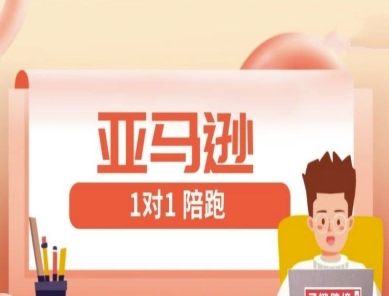 亚马逊1对1陪跑课(FBA/FBM精铺)跨境亚马逊教程-800资源网