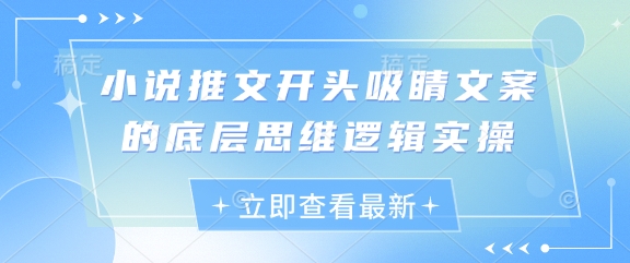 小说推文开头吸睛文案的底层思维逻辑实操-800资源网