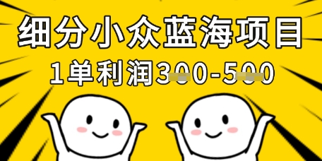 细分小众蓝海项目，一单利润3张，每月收入稳定过1w+-800资源网