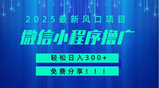 微信小程序撸广，最新风口项目，日入300+ 免费分享 可批量操作 小白可…-800资源网