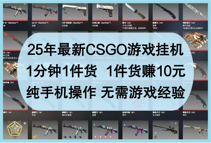 25年最新CSGO游戏挂机，1分钟1件货，1件货赚10元，纯手机操作，无需游戏经验-800资源网