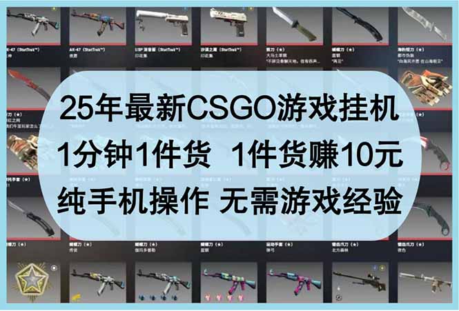 25年最新CSGO游戏挂机，1分钟1件货，1件货赚10元 纯手机操作 无需游戏经验-800资源网