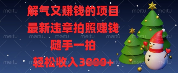 解气又挣钱的项目，最新违章拍照挣钱，随手一拍，轻松收入数张-800资源网