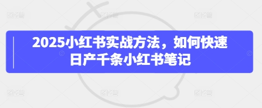 2025小红书实战方法，如何快速日产千条小红书笔记-800资源网