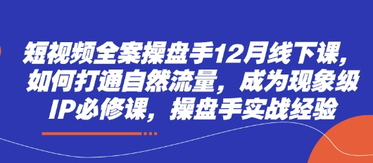 短视频全案操盘手12月线下课，如何打通自然流量，成为现象级IP必修课，操盘手实战经验-800资源网