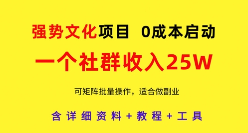 强势文化项目，一个社群收入25个W，0成本启动，可矩阵批量操作，原创详细实操教程-800资源网