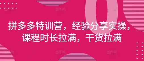 拼多多特训营，经验分享实操，课程时长拉满，干货拉满(更新25年4月)-800资源网