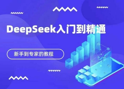 DeepSeek快速从入门到精通，新手的保姆级教程-800资源网