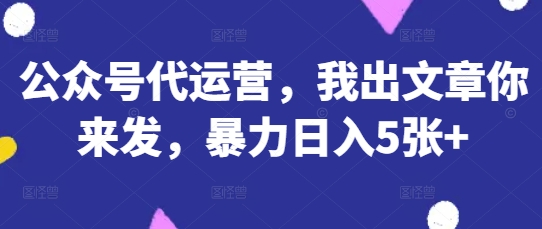公众号代运营，我出文章你来发，暴力日入5张+-800资源网