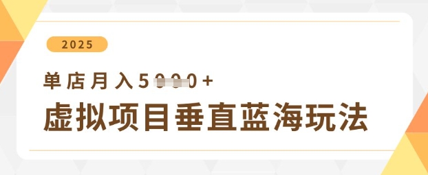 虚拟项目垂直玩法，实现单店月入5k+-800资源网