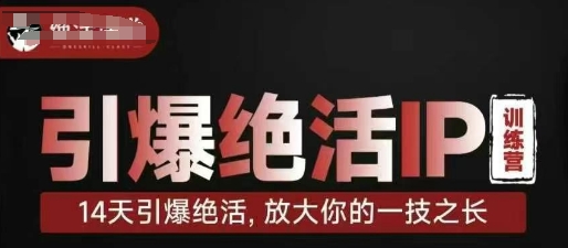引爆绝活IP训练营，14天引爆绝活，放大你的一技之长-800资源网