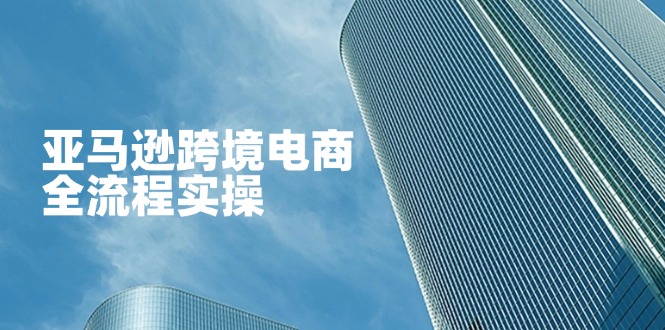 亚马逊跨境电商全流程实操，教你从零开始，掌握店铺运营与广告技巧-800资源网
