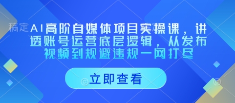 AI高阶自媒体项目实操课，讲透账号运营底层逻辑，从发布视频到规避违规一网打尽-800资源网