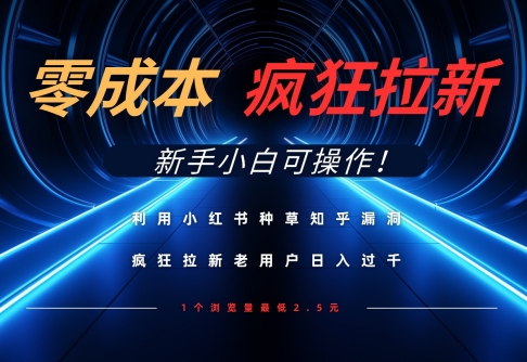 利用小红书种草知乎漏洞，零成本疯狂拉新日入数张，新手小白可操作-800资源网