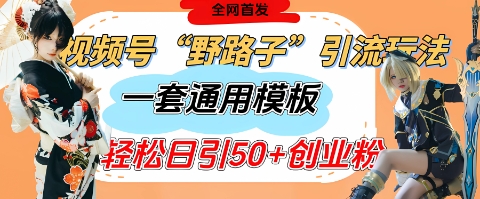 视频号“野路子”玩法，评论区疯狂截流，一套模板单日单号引流50+创业粉-800资源网