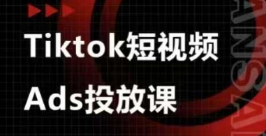 Ads视频投放课，tiktok短视频广告投放课-800资源网