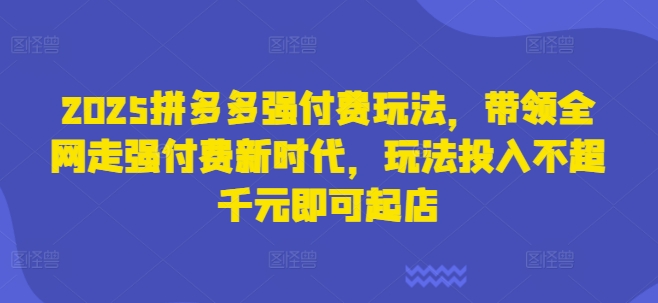2025拼多多强付费玩法，带领全网走强付费新时代，玩法投入不超千元即可起店-800资源网