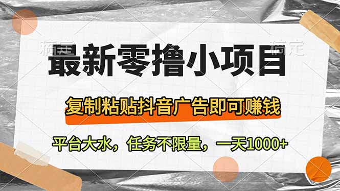 最新零撸小项目，复制粘贴抖音广告即可赚钱，平台大水，任务不限量，一…-800资源网