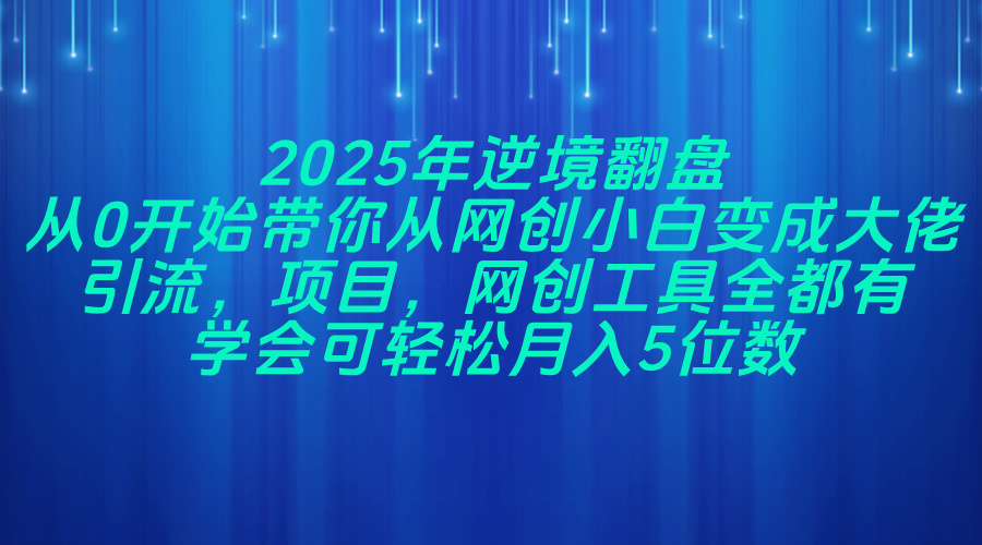 2025年逆境翻盘，从0开始带你从网创小白变成大佬，引流，项目，网创工…-800资源网