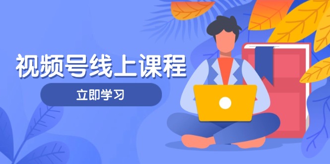 视频号实战课程，轻IP打造与运营技巧，掌握核心方法与策略-800资源网