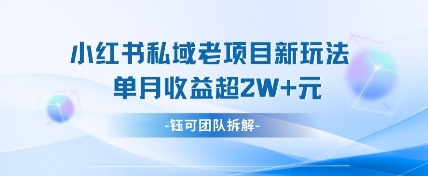 小红书私域项目新玩法，单月变现过W+-800资源网
