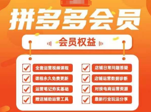 2025拼多多运营实战课，40节全流程教学，覆盖拼多多运营全链路-800资源网