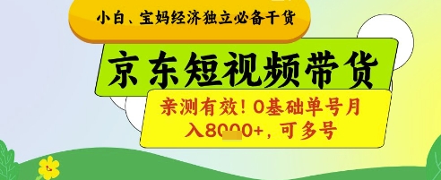 小白宝妈经济独立必备干货，京东短视频带货，亲测有效!0基础单号月入8k+，可多号-800资源网