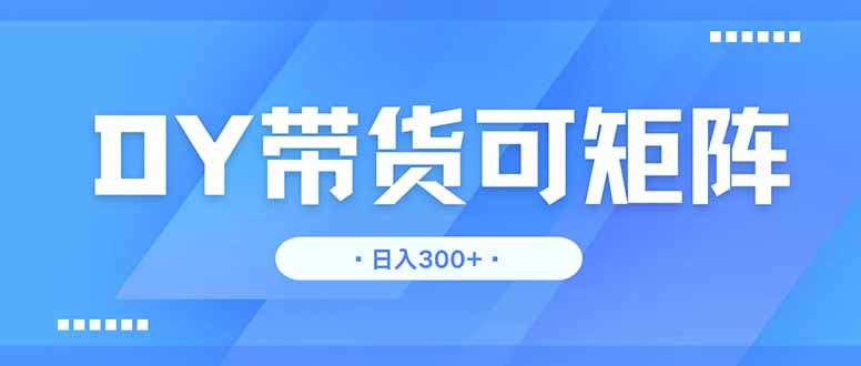 DY带货，日入300＋矩阵无上限-800资源网