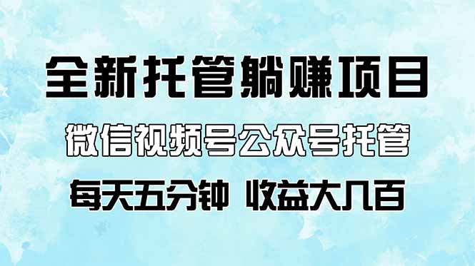 全新托管躺赚项目，微信视频号公众号托管代运营，每天五分钟，收益大几百-800资源网