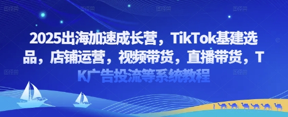 2025出海加速成长营，TikTok基建选品，店铺运营，视频带货，直播带货，TK广告投流等系统教程-800资源网