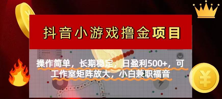 【抖音小游戏发行人计划项目】操作简单，长期稳定，日盈利500+，可工作…-800资源网