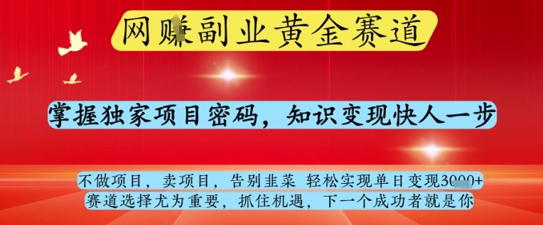 网创副业黄全赛道，掌握独家项目密码，知识变现快人一步，告别韭菜轻松实现单日变现1k+-800资源网