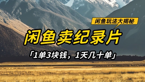 闲鱼卖纪录片1单3块钱，1天几十单，项目稳定有潜力-800资源网