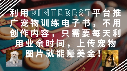 利用Pinterest平台推广宠物训练电子书，不用创作内容，只需要每天利用业余时间，上传宠物图片就能挣美金!-800资源网