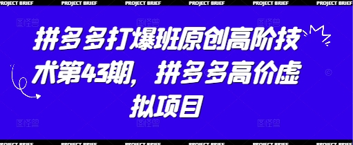 拼多多打爆班原创高阶技术第43期，拼多多高价虚拟项目-800资源网