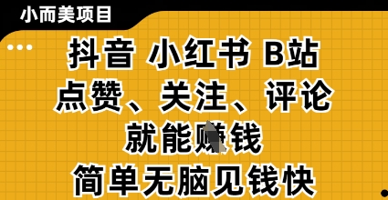 小而美的项目，抖音小红书B站视频点赞、关注、评论就能挣钱，简单无脑立见收益，妥妥的零撸项目-800资源网