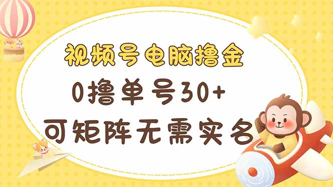 视频号电脑撸金 0撸单号30+ 可矩阵 无需实名多号多得-800资源网