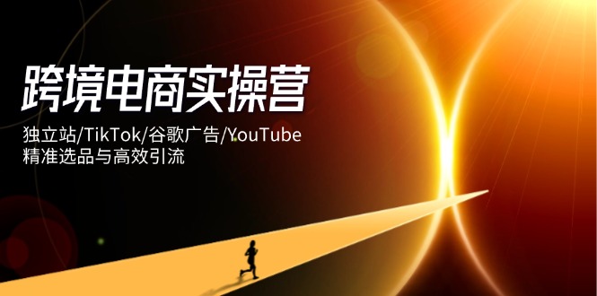 跨境电商实操营：独立站/TikTok/谷歌广告/YouTube，精准选品与高效引流-800资源网