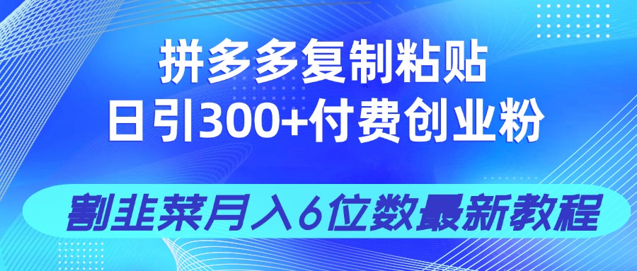 拼多多复制粘贴日引300+付费创业粉，割韭菜月入6位数最新教程！-800资源网