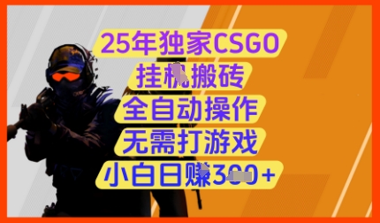 25年独家CSGO挂G搬砖，全自动操作，无需打游戏，小白日入3张+-800资源网