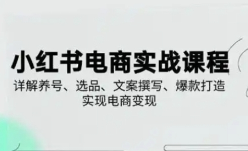 小红书从0-1实操课(2023-2025)，详解养号、选品、文案撰写、爆款打造实现电商变现-800资源网