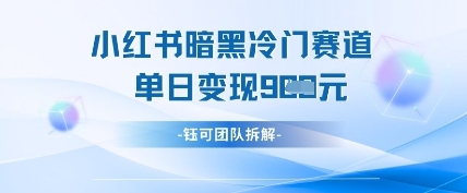小红书冷门”暗黑”赛道，单日收益多张-800资源网
