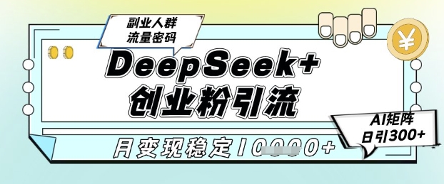 DeepSeek+创业粉精准引流，全新分享课4.0玩法，AI矩阵日引300+，多种变现方式，稳定月入1W-800资源网