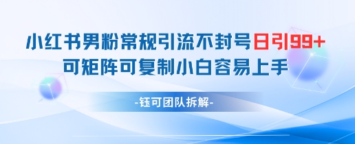 小红书男粉常规引流不封号日引99+变现简单 可矩阵可复制小白容易上手-800资源网